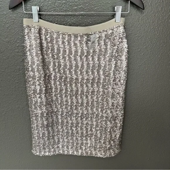 NWT J. Jill Sequins Pencil Sterling Women’s Skirt | Size XS - Picture 3 of 10